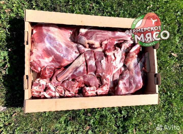 Мясо баранина