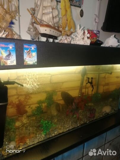 Аквариум