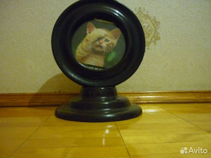 Гробик для домашнего питомца