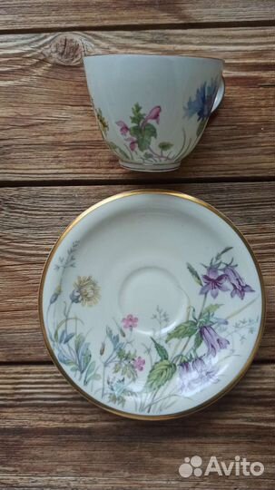 Кофейная пара Бавария Германия Ботаника