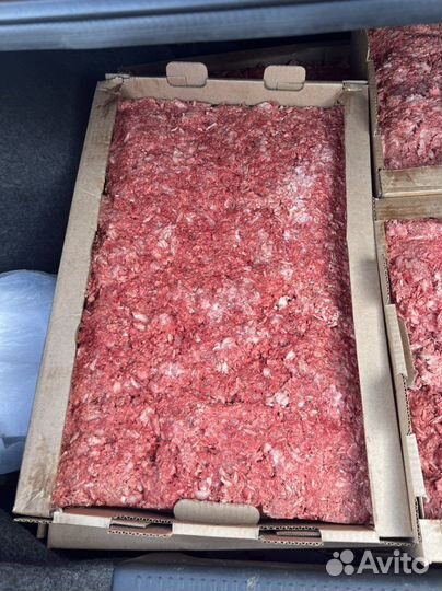 Фарш для собак