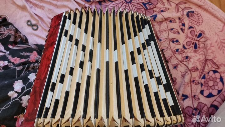 Аккордеон