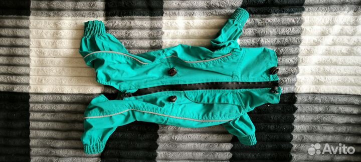 Комбинезон, миска, мяч, поводок, шлейка для собак