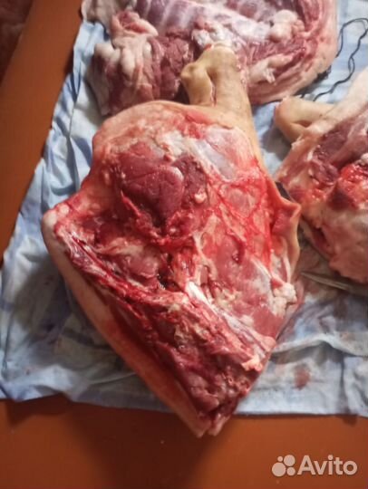 Свинина домашняя