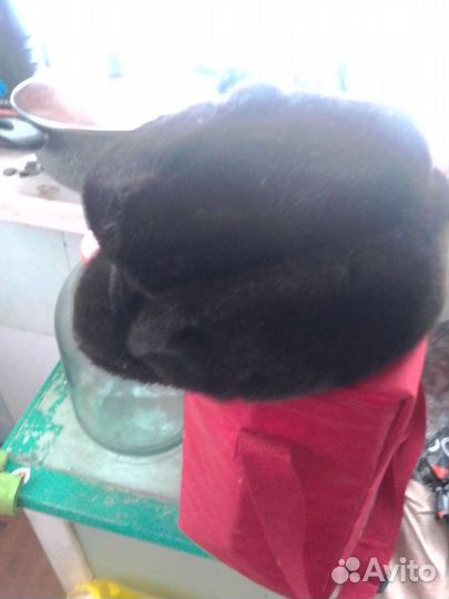 Меховая мужская кепка