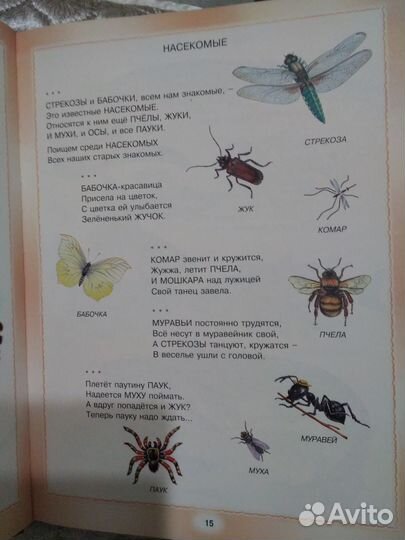 Книги по развитию речи дошкольников