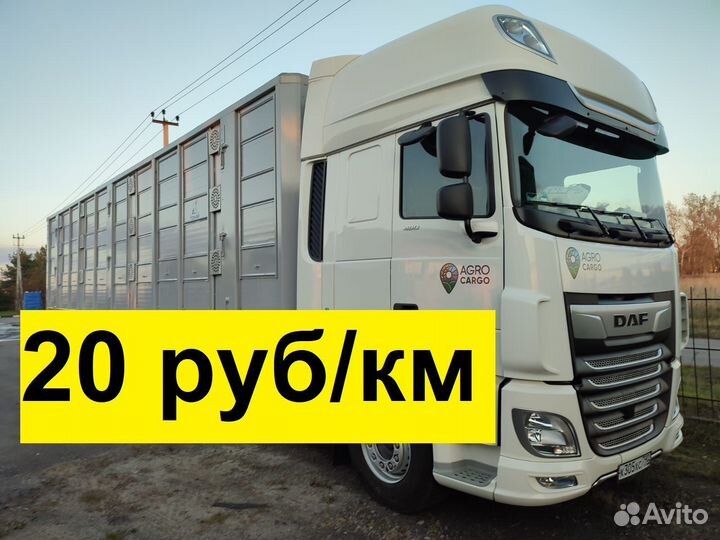 Водитель на скотовоз (категории Е)