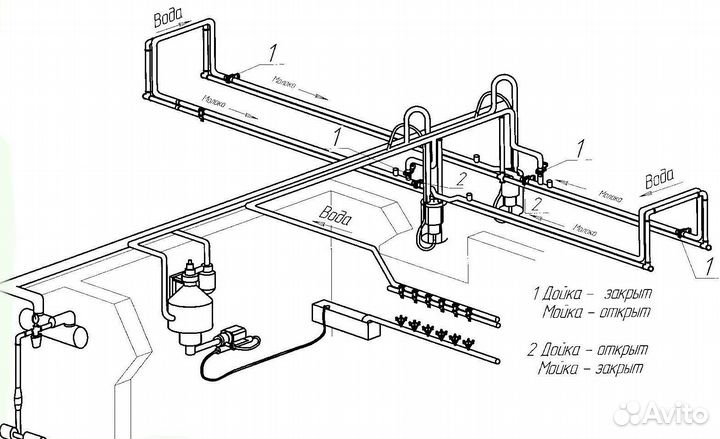 Молокопровод на 50 голов крс