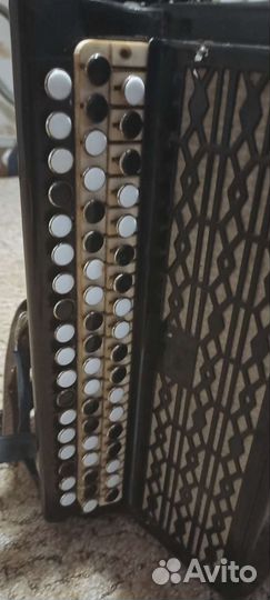 Баян тула 202