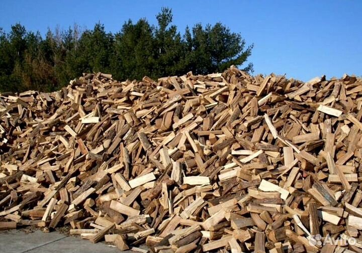 Дрова Береза