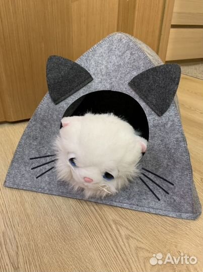 Новый Домик для кошки ewa котодомик войлочный