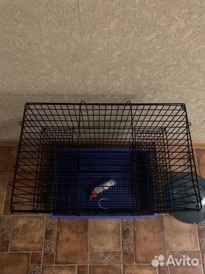 Клетка для грызунов