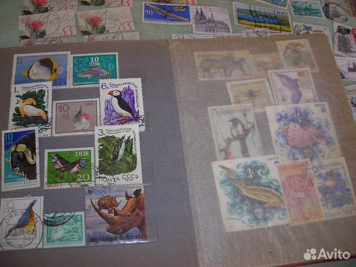 Марки в кляссере много СССР