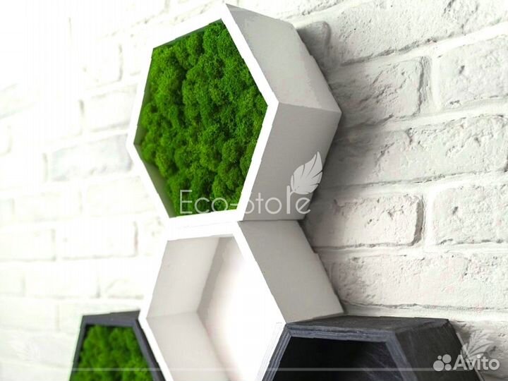 Полка сота из мха с подсветкой