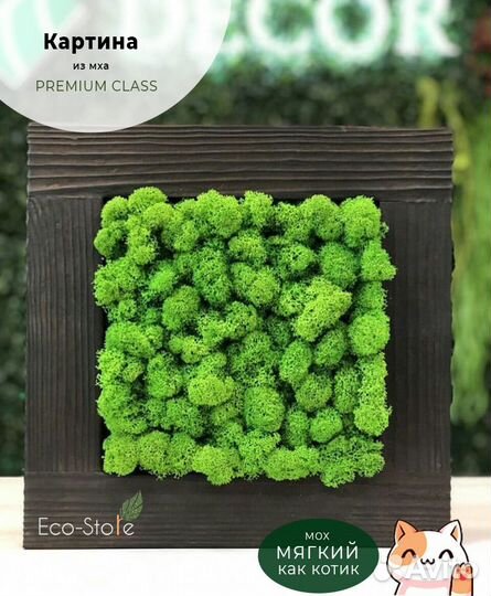 Картина из мха 30 см