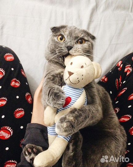 Мишка Фаблер Бьерн IKEA 21см