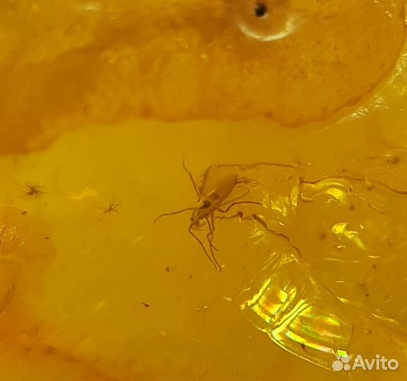 Янтарь природный с инклюзами