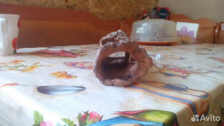 Для Аквариума