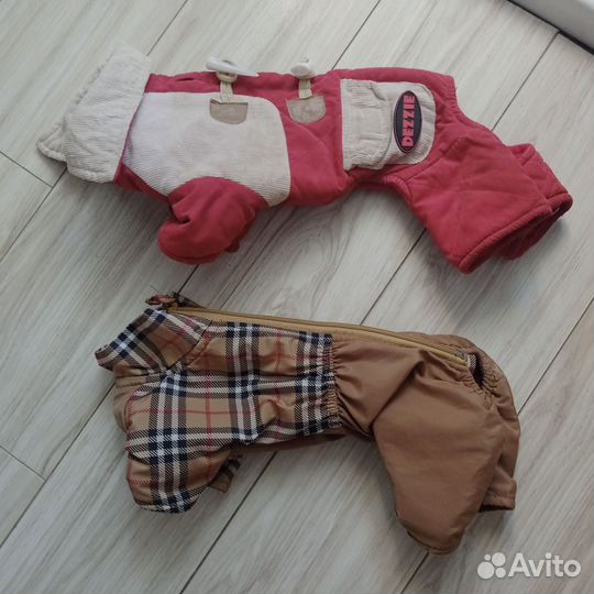 Одежда для маленьких пород собак