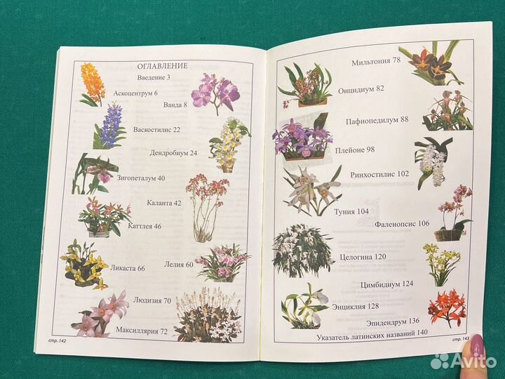 Маккалистер Р. Самые неприхотливые орхидеи