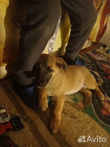 Неизвестная