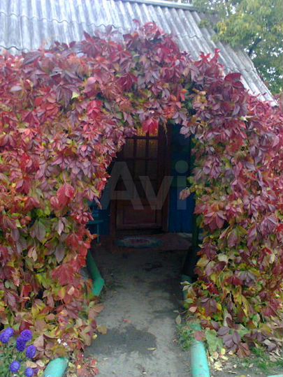 Дом 40 м² на участке 40 сот.