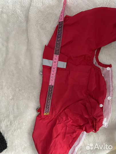 Одежда для собак мелких пород