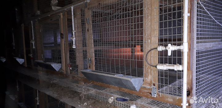 Клетка-батарея для кур-несушек или бройлеров