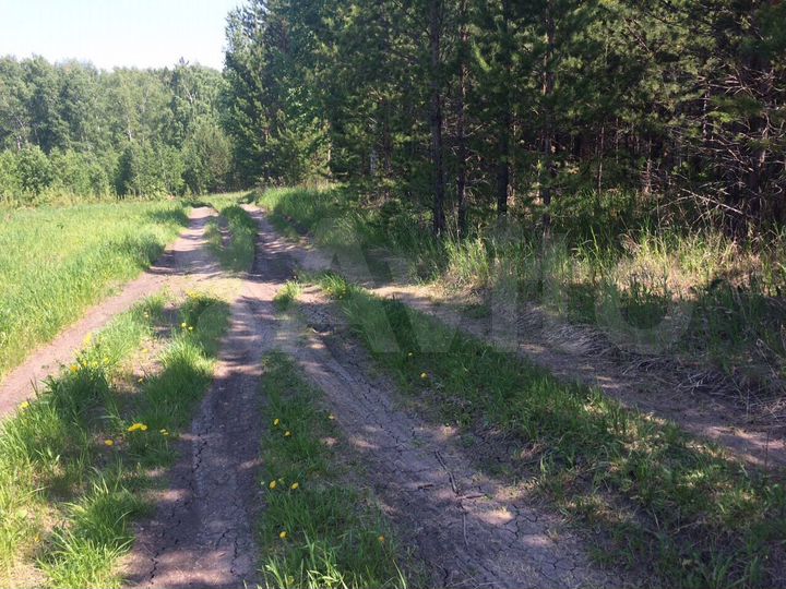 Участок 10 сот. (СНТ, ДНП)