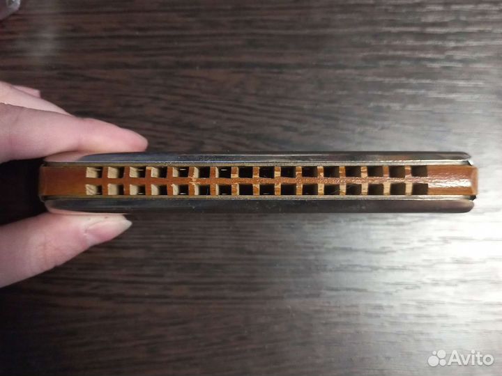 Губная гармошка Aidas Kaunas