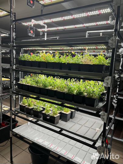 Помогу открыть свой бизнес сити ферму