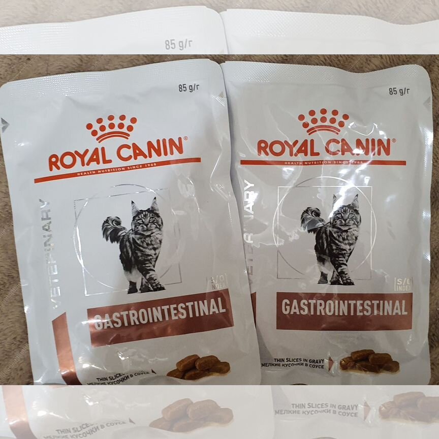 Влажный корм для кошек royal canin гастро