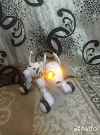 Собака