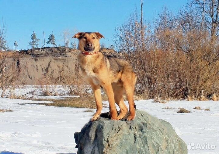Токай