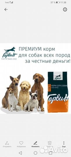 Сухой корм для собак