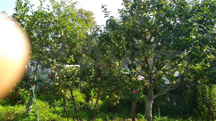 Дача 10 м² на участке 6 сот.