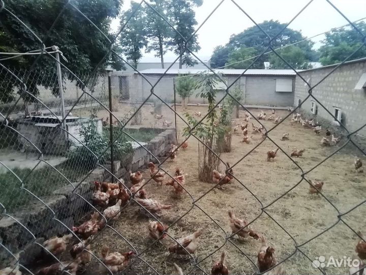 Продам готовый бизнес производство