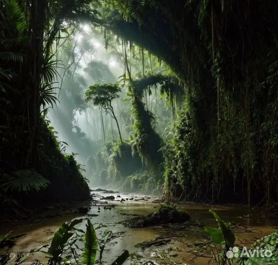 Голда в standoff 2 1000