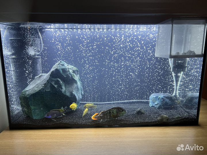Аквариум 94л со всем содержимым