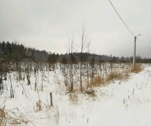 Участок 25 сот. (СНТ, ДНП)