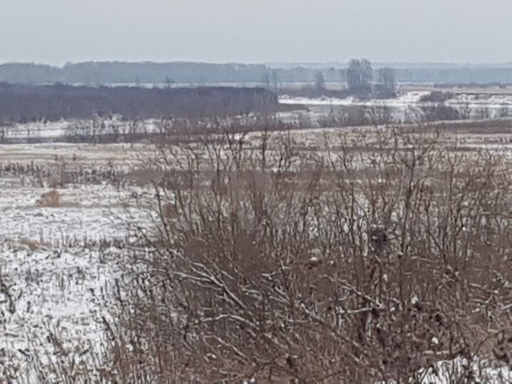 Дом 75 м² на участке 80 сот.