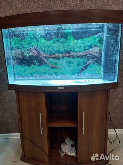 Аквариум с тумбой juwel 180 л