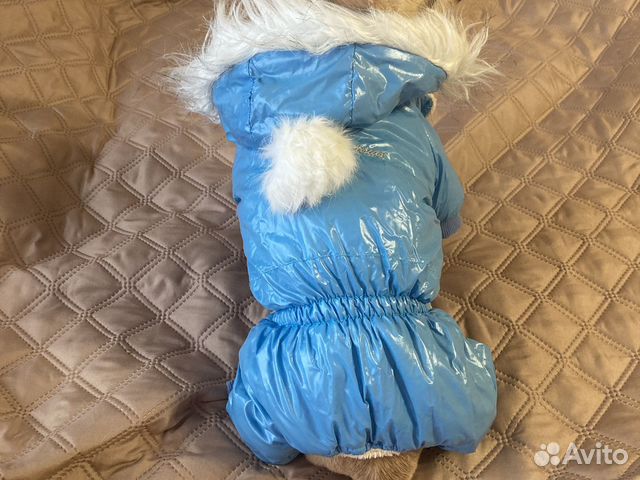 Костюм для собаки