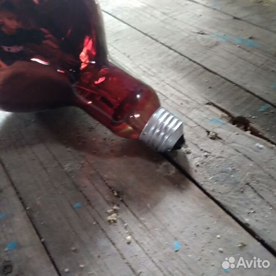 Лампа для инкубатора согревающая