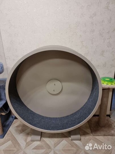 Беговое колесо для кошек