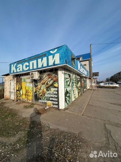 Магазин рыбной продукции 