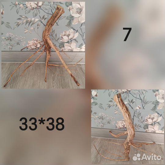 Коряги и ракушки в аквариум