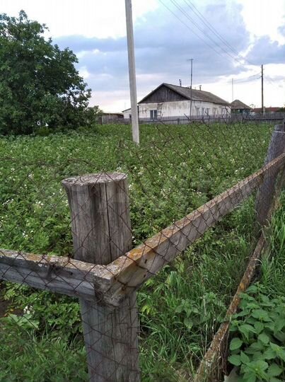 Дом 25 м² на участке 6 сот.