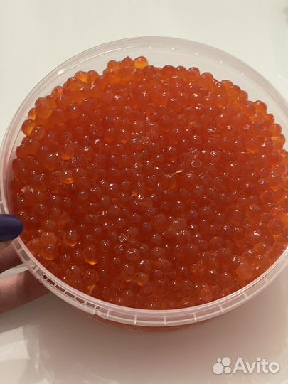 Икра красная 2023 год август