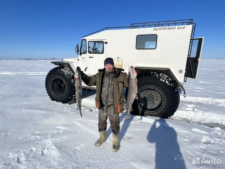 Вездеход, болотоход, трэкол, аренда вездехода